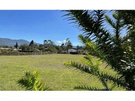  Terreno (Parcela) en venta en La Ceja, Antioquia, La Ceja