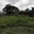  Land for sale in Yautepec, Morelos, Yautepec