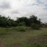  Land for sale in Yautepec, Morelos, Yautepec