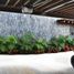 4 Habitación Casa en venta en Jose Azueta, Guerrero, Jose Azueta