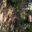  Land for sale in San Fernando City, Ilocos, San Fernando City, La Union