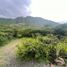  Land for sale in Vilcabamba Victoria, Loja, Vilcabamba Victoria, Loja, Loja