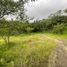  Land for sale in Vilcabamba Victoria, Loja, Vilcabamba Victoria, Loja, Loja
