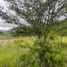  Land for sale in Vilcabamba Victoria, Loja, Vilcabamba Victoria, Loja, Loja