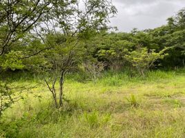  Land for sale in Vilcabamba Victoria, Loja, Vilcabamba Victoria, Loja, Loja