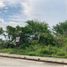 Terrain à vendre à Tuxpan, Veracruz, Tuxpan, Veracruz