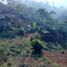  Terreno (Parcela) en venta en Sumurbandung, West Jawa, Sumurbandung, Bandung