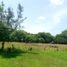  Land for sale in Jamapa, Veracruz, Jamapa