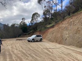  Terreno (Parcela) en venta en Melipilla, Santiago, Maria Pinto, Melipilla