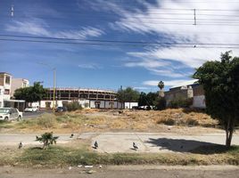  Land for sale in Torreon, Coahuila, Torreon