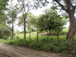  Land for sale in Juan Gomez Rendon Progreso, Guayaquil, Juan Gomez Rendon Progreso