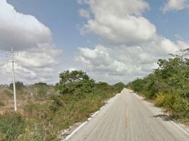  Grundstück zu verkaufen in Maxcanu, Yucatan, Maxcanu