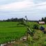  Tanah for sale in Selemadeg, Tabanan, Selemadeg