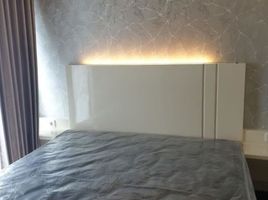 1 Bedroom Apartment for rent in Mulyorejo, Surabaya, Mulyorejo