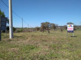  Land for sale in Colon, Entre Rios, Colon