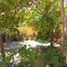4 Bedroom House for sale in Tlaxcoapan, Hidalgo, Tlaxcoapan