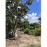 2 Habitación Casa en venta en Telchac Pueblo, Yucatán, Telchac Pueblo