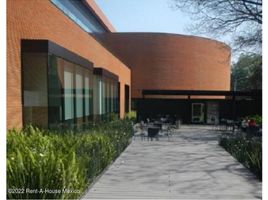 638 m2 Office for rent in Miguel Hidalgo, Mexico City, Miguel Hidalgo