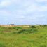  Land for sale in San Vicente, Manabi, San Vicente, San Vicente