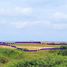  Land for sale in San Vicente Manabi, San Vicente, San Vicente