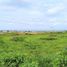  Land for sale in San Vicente, Manabi, San Vicente, San Vicente