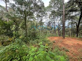  Terreno (Parcela) en venta en Valle De Bravo, México, Valle De Bravo, México, México