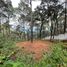  Terreno (Parcela) en venta en Valle De Bravo, México, Valle De Bravo, México, México