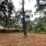  Terreno (Parcela) en venta en Valle De Bravo, México, Valle De Bravo, México, México