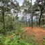  Terreno (Parcela) en venta en Valle De Bravo, México, Valle De Bravo, México, México