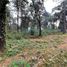  Terreno (Parcela) en venta en Valle De Bravo, México, Valle De Bravo, México, México