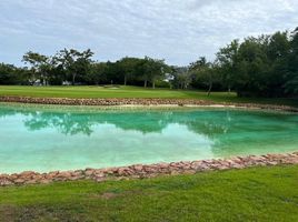  Terreno (Parcela) en venta en Conkal, Yucatán, Conkal, Yucatán