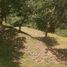  Land for sale in Amaga, Antioquia, Amaga