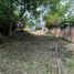  Land for sale in Xico, Veracruz, Xico, Veracruz