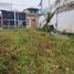  Land for sale in Caldas, Manizales, Caldas