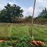  Land for sale in Bogor, West Jawa, Ciampea, Bogor