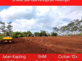  Land for sale in Pekalongan, Jawa Tengah, Tirto, Pekalongan