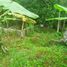  Land for sale in Selemadeg, Tabanan, Selemadeg