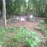  Land for sale in Selemadeg, Tabanan, Selemadeg