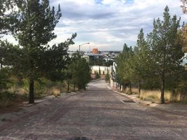  Grundstück zu verkaufen in San Luis Potosi, San Luis Potosi, San Luis Potosi, San Luis Potosi