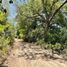  Land for sale in Linares, Nuevo Leon, Linares