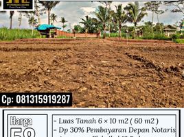  Land for sale in Kepanjen, Malang Regency, Kepanjen