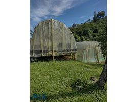 3 Schlafzimmer Haus zu verkaufen in Heliconia, Antioquia, Heliconia