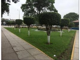  Grundstück zu verkaufen in San Luis, Lima, San Luis, Lima, Lima, Peru