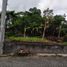  Land for sale in Yogyakarta, Depok, Sleman, Yogyakarta