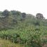  Land for sale in Manizales, Caldas, Manizales