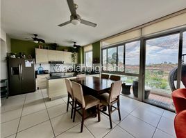3 Habitación Apartamento en venta en San Miguelito, Panamá, Amelia Denis de Icaza, San Miguelito