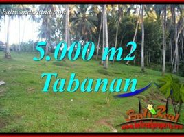  Land for sale in Selemadeg, Tabanan, Selemadeg