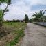  Land for sale in Yogyakarta, Kalasan, Sleman, Yogyakarta