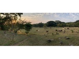  Land for sale in Villa De Alvarez, Colima, Villa De Alvarez, Colima