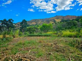  Terreno (Parcela) en venta en Loja, Loja, Loja, Loja